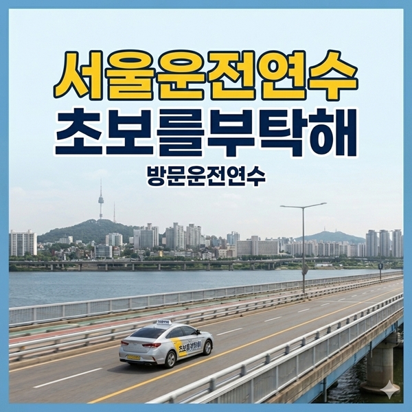 전국 운전연수는 초보를부탁해